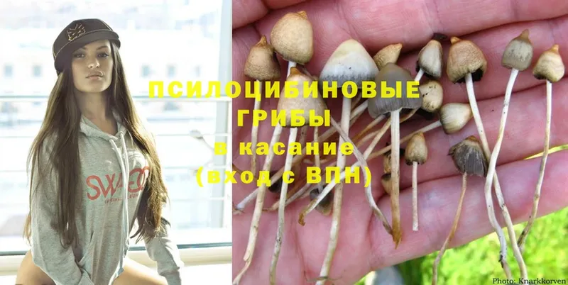 Галлюциногенные грибы MAGIC MUSHROOMS  где купить наркоту  Барыш 